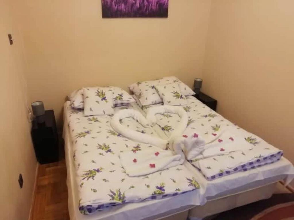 Centrum Panzio ديبريتْسين المظهر الخارجي الصورة
